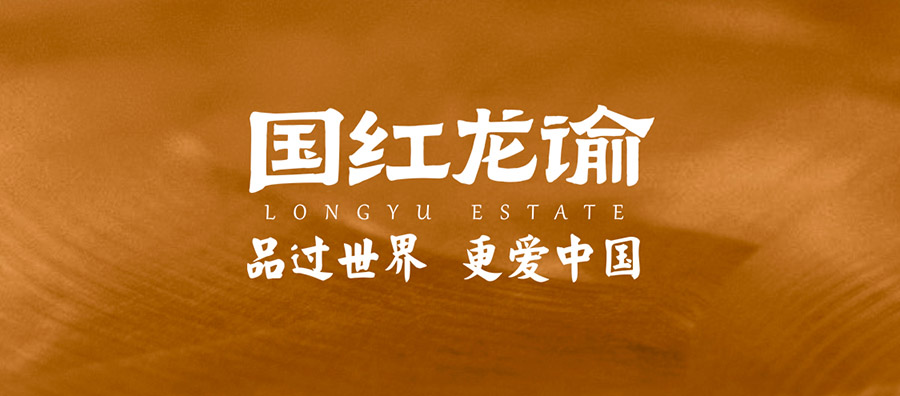 李乃文：我被中國葡萄酒驚艷到了！