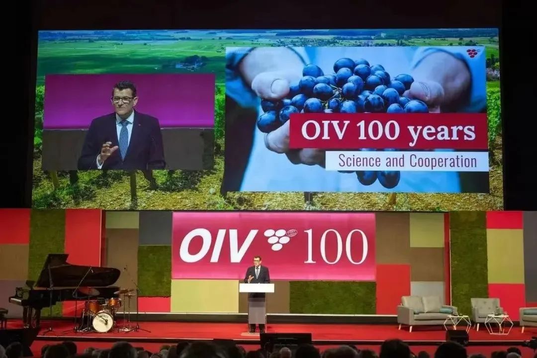 OIV總干事約翰·巴克：我很喜歡你們的可雅白蘭地