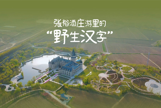 “野生漢字”在張裕酒莊游里有多少種打開方式？